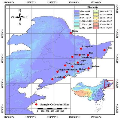 Genetic Diversity of <mark class="highlighted">Juglans mandshurica</mark> Populations in Northeast China Based on SSR Markers